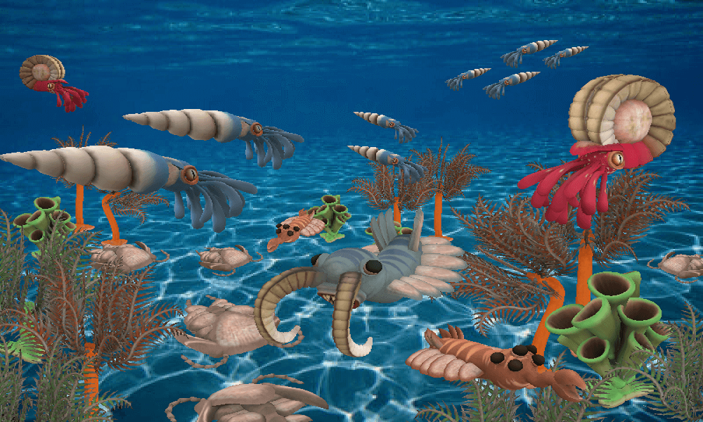 Paleozoic Era